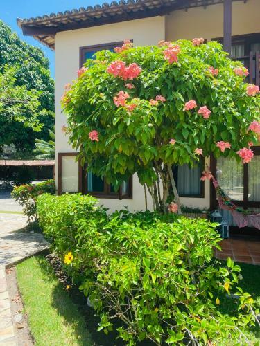 Apartamento Vamos Villa Aurora