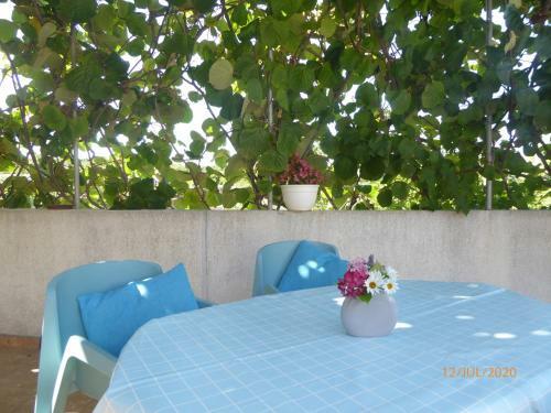 Apartments Orsic