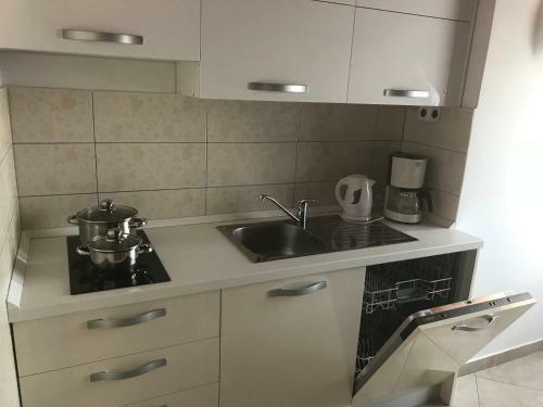 Apartments Orsic