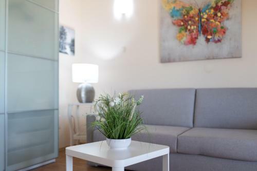 Apartmani Paradiso