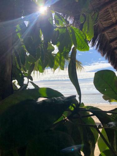 Apartamento Inteiro Com Vista Piscina - 33