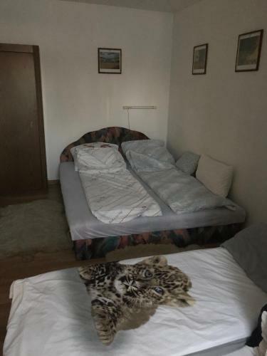 Apartamento �gi Fogad�