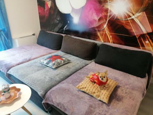 Orsi Apartman Kecskem�t