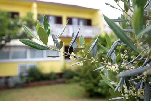 Apartment Drago *cosy & Close To The Beach!