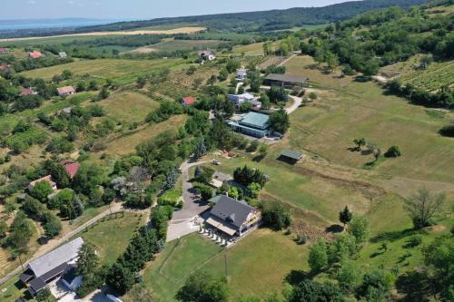 Bed & Breakfast Bork�ti Panzi� �s Apartman
