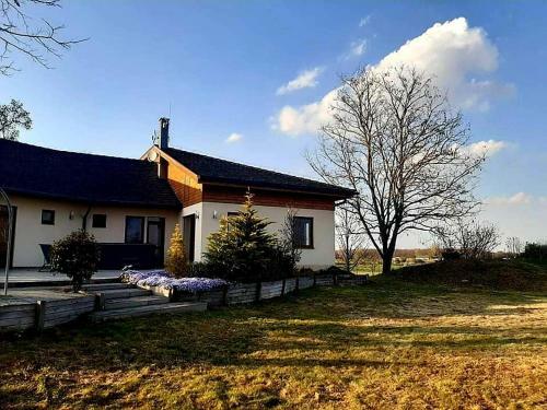 Bed & Breakfast Pagony Ber�nybenei Vend�gfogad�