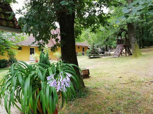 Hostal Moh�s Vend�gh�z K?szeg