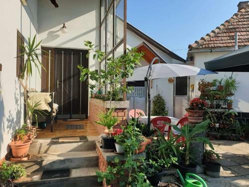 Anna Apartman