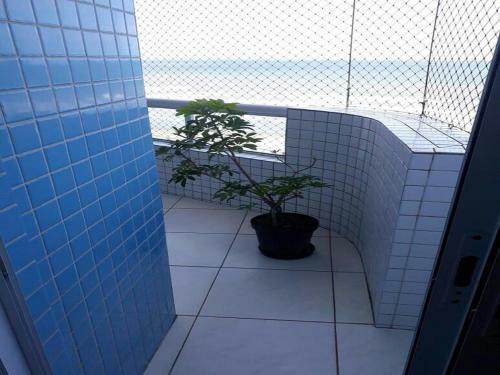 Apartamento Cobertura Duplex