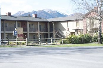 Tussock Peak Motor Lodge