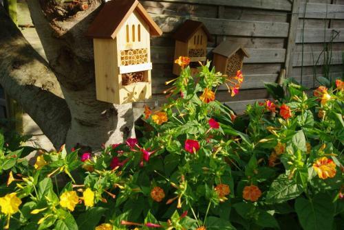 Bed & Breakfast �'maxethel
