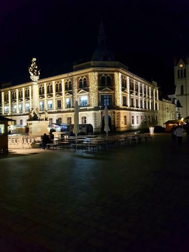 Belv�rosi Kertesh�z