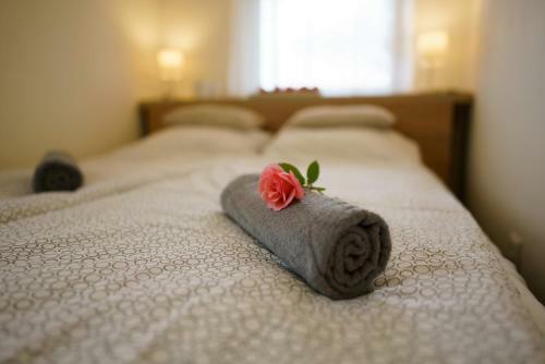 Eleven Apartman House
