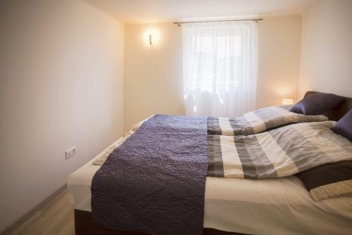 Eleven Apartman House