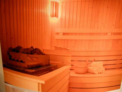 Pallace Wellness Apartment