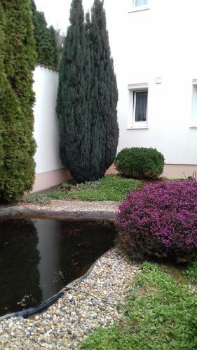 Apartman Venus