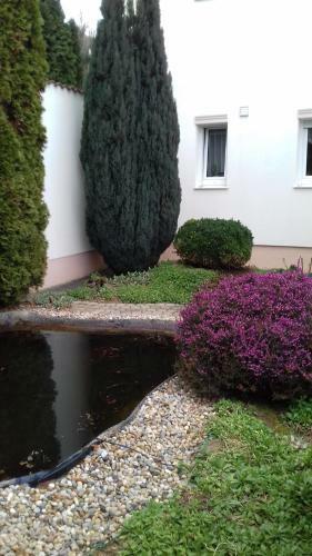 Apartman Venus