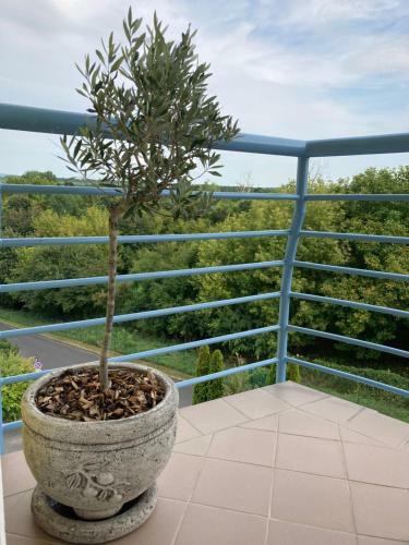 Libellula Apartman H�v�z