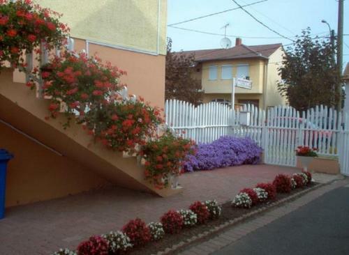 Sarkadi Apartman