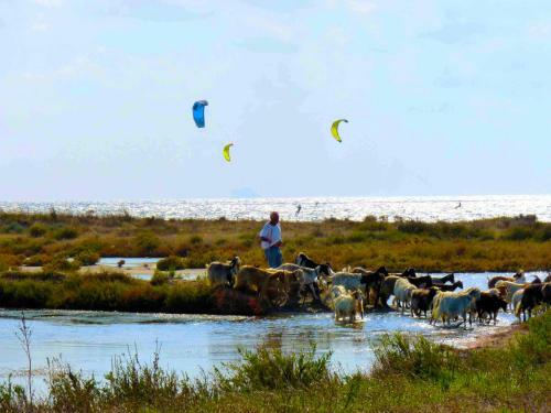Apartamento Kiteshomes