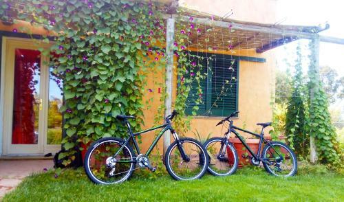 Apartamento Kiteshomes