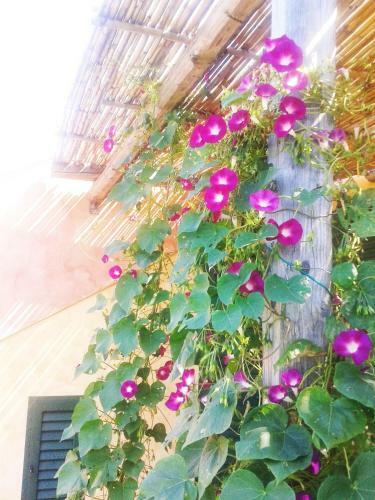 Apartamento Kiteshomes
