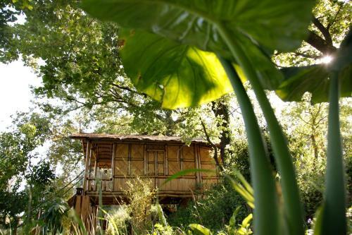Bed & Breakfast Mas D'alphonse