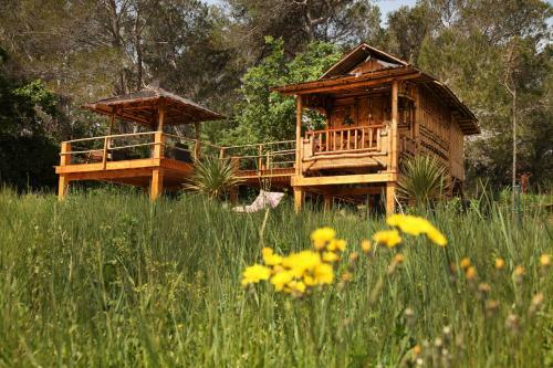 Bed & Breakfast Mas D'alphonse