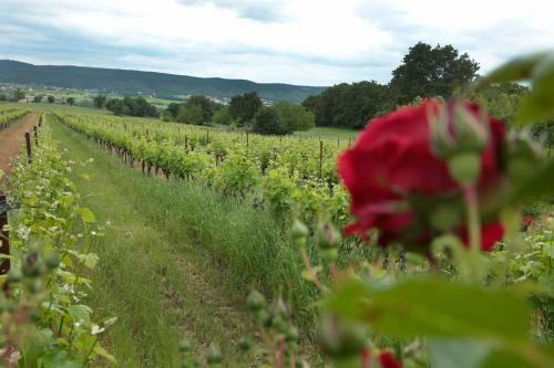 Bed & Breakfast Mas D'alphonse