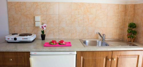 Apartamento Litsa & Rosa Studios