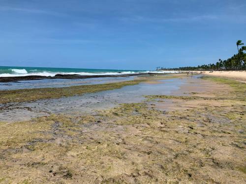 Apartamento Flat Beach Class Muro Alto