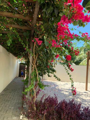 Apartamento Manawa Beach Flat A18