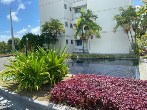 Apartamento Palm Village Luxo