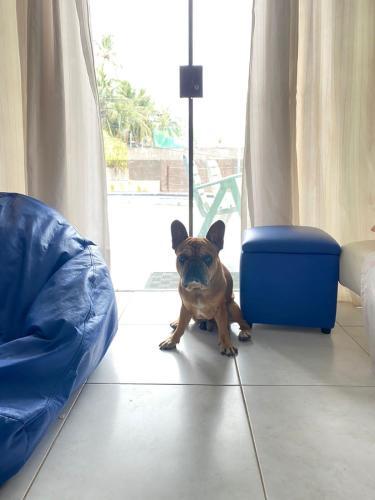 Apartamento Flat Porto de Galinhas