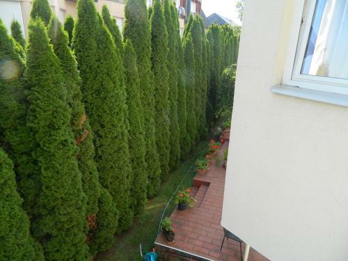 Sezlon Apartman