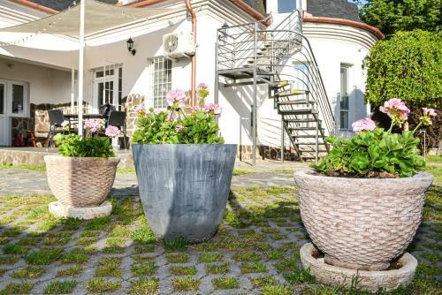 Villa Amigo Vend�gh�z