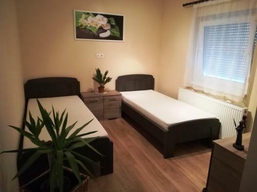 Csaba Apartman