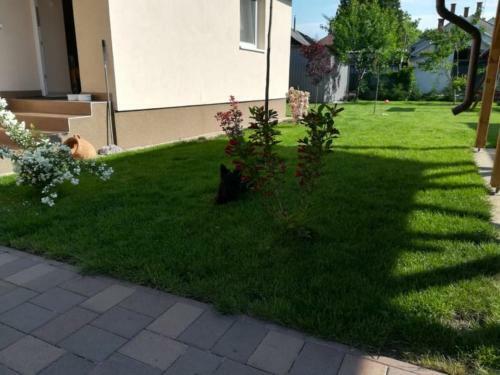 Csaba Apartman