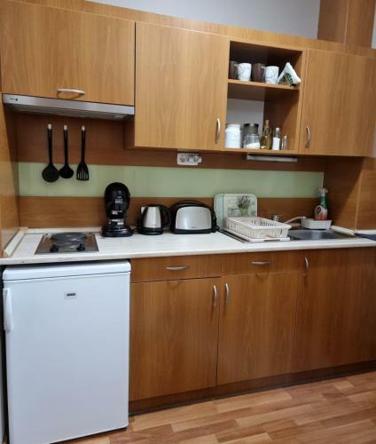 Apartamento Relax Wellness Manzard Hajd�szoboszl�
