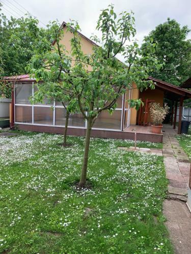 E�tv�s Vend�gh�z