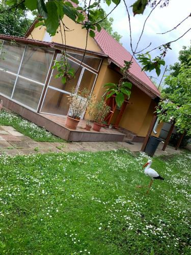 E�tv�s Vend�gh�z
