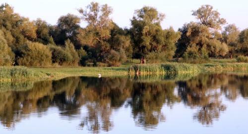 Agroturismo Sodyba Skirvyt?l?s Sod?ius