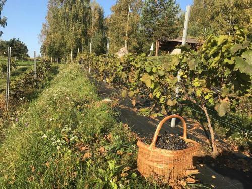 Agroturismo Pr?si?ki? Dvaras