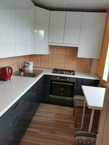 Apartamento Laisv?s 10