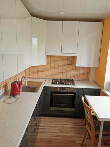 Apartamento Laisv?s 10