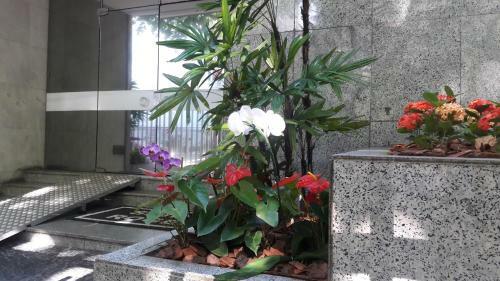 Lindo Apartamento Em Ipanema - Rj