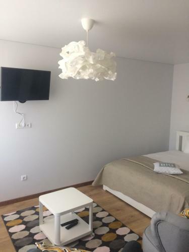 Apartamentai Zarasai