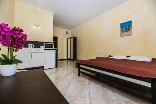 Hostal Amber Vila