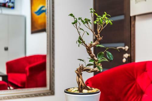 Hostal Amber Vila