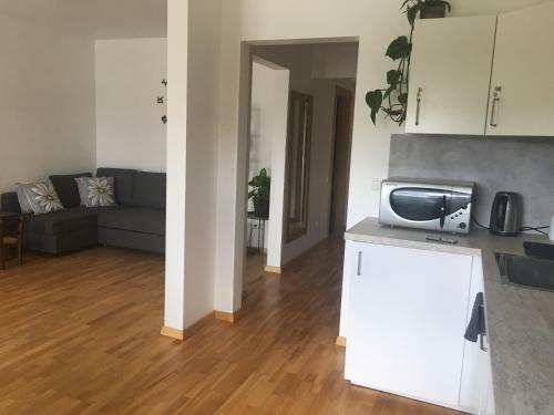 Strelnieku Apartment